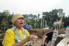 Siapkan Lahan 30 Hektare untuk Pembangunan Kebun Binatang di Kawasan Plangon Cirebon