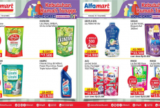 Promo Alfamart Terbaru Hari Ini 27 Maret 2026: Sabun Mandi & Deterjen Beli 2 Gratis 1