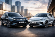 BYD Song Ultra EV vs BYD Atto 3: Cek Perbedaan Spesifikasi dan Harganya!