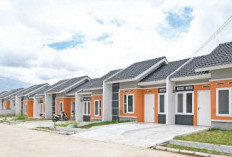 Hanya 5 Langkah! Cara Daftar Rumah Subsidi Perumnas Lewat HP