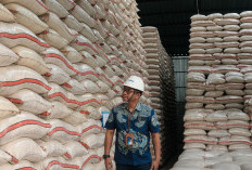 Gudang Bulog Cirebon Sumbang Stok Beras Capai 158.703 Ton dari Cadangan Nasional 5 Juta Ton