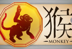 Ramalan Ciong Shio Monyet 2026: Tahun Penuh Tantangan dan Solusi Mengatasinya!