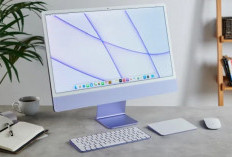 Aksesori Wajib untuk iMac M6: Dari External Storage Hingga Magic Trackpad