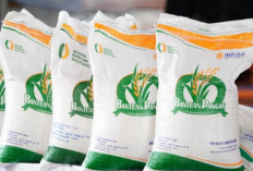 Resmi Dilanjutkan! Bansos Beras 10Kg 2026, Begini Cara Cek dan Pencairannya