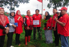 DPC PDI Perjuangan Kabupaten Cirebon Tanam Pohon dan Tebar Benih Ikan, Peringati HUT ke-79 Megawati