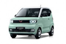 5 Mobil Listrik Harga LCGC di Bawah Rp200 Juta: Pilihan Tepat untuk Anak Muda