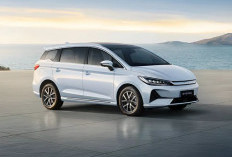 Perbandingan Harga BYD M6 Tipe Standard vs Superior, Pilih yang Mana?