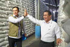 Bulog Cirebon Optimalkan Penyerapan dan Penyimpanan Gabah