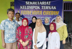 Anggota DPRD Kota Cirebon Muhammad Noupel Hadir di Tengah Masyarakat, Dukung Peternak Domba