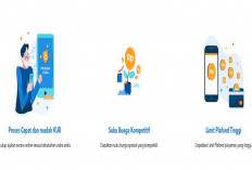 Update KUR BRI 2026 Terbaru: Simak Syarat Lolos Verifikasi dan Cara Ajukan via Website & Offline