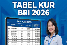 Tanpa Jaminan Tambahan! Cek Tabel KUR BRI 2026 Pinjaman Rp 100-200 Juta untuk UMKM