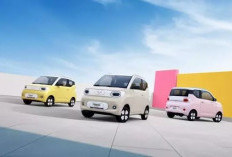 Pilihan Warna Wuling Macaron 2026: Tampil Estetik dengan Balutan Warna Pastel Terbaru