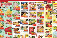 Katalog Promo Superindo Weekday Terbaru 16-19 Februari 2026: Beli Banyak Lebih Hemat!