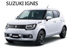 Daftar Harga Suzuki Ignis Bekas 2026: Mulai dari Rp90 Jutaan!