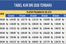 Tabel KUR BRI 2026 Pinjaman Rp 50-100 Juta, Tanpa Agunan, Bunga 6% per Bulan, Tenor 5 Tahun