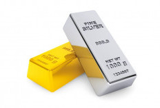 Beli Emas Sekarang Apakah Worth It untuk Pemula? Cek Untung Ruginya di Sini!