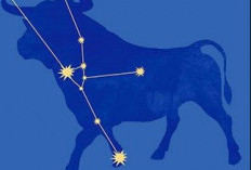 Ramalan Zodiak Taurus Hari Ini Kamis, 5 Februari 2026 