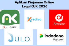Daftar Pinjol Legal OJK 2026 dengan Bunga Mulai 0,1% dan Tenor hingga 24 Bulan, Dijamin Cair Cepat!