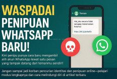 Hanya 2 Menit! Begini Cara Melaporkan Nomor WhatsApp Penipu Lewat HP