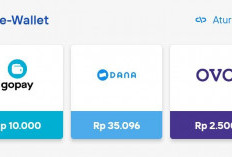 Cara Mengamankan Akun E-Wallet Agar Tidak Gampang Dihack Orang Lain