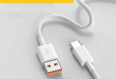 Menguji Charger 240W Realme: Dari 0 ke 100% Hanya dalam Hitungan Menit!