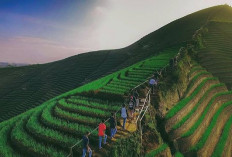 Sambut Libur Panjang Idul Adha 2026, Ini Daftar Wisata Air dan Bukit Estetik di Area Cirebon Raya