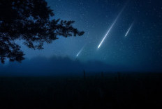 Siap-Siap! Puncak Hujan Meteor Orionid Terjadi 21–22 Oktober, Ini Jam Terbaik Mengamatinya