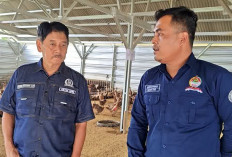 Pemuda Karangmuncang 2 Bulan Kelola Bebek Petelur, Omset BUMDes Tembus 22Juta!