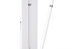 Battle Stylus 2025: S-Pen vs Apple Pencil Pro, Mana yang Paling Presisi buat Gambar dan Kerja?