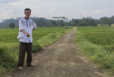 Pembangunan di Desa Paniis, Jalan Usaha Tani Permudah Akses Petani