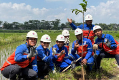 Indocement Palimanan Gelar Penanaman Pohon Peringati Gerakan Sejuta Pohon 2026