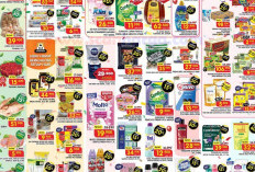 Produk Paling Laris di Promo JSM Superindo: Sunlight Piring Cuma Rp9.500!