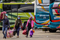 Update Info Mudik Gratis Pemprov Jawa Barat 2026: Rute dan Cara Daftar