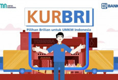 Cara Daftar KUR Bank Rakyat Indonesia Online Lewat HP, Praktis dan Tanpa Antre!