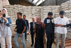 Stok dan Kualitas Beras di Indramayu Jelang Nataru Dipastikan Aman