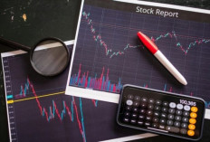 Perbedaan Saham dan Kripto: Mana yang Lebih Aman untuk Pemula?