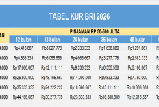 Tabel KUR BRI 2026: Plafon Rp 50-500 Juta, Solusi Modal Usaha UMKM Cicilan Ringan