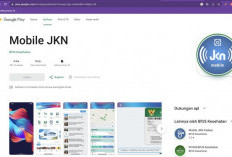 Cara Cek Status Keaktifan Peserta JKN Online Cepat dan Mudah