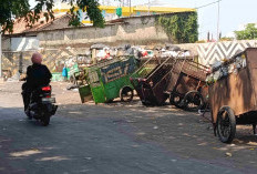 DLH Klaim Tren Retribusi Sampah Dari Tahun ke Tahun Positif