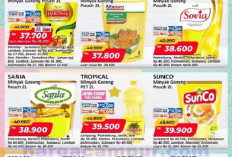 Promo JSM Alfamart Terbaru Hari Ini Periode 6 - 8 Februari 2026, Minyak Goreng dan Mie Instan Murah