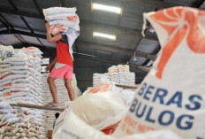 Bansos Beras 2026 Jadi Solusi Tekan Harga Pangan? Ini Penjelasan Bulog Terkait Stok Nasional