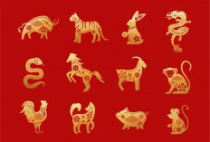 5 Shio yang Cuan di Tahun 2026: Siap-Siap Mandi Uang di Tahun Kuda Api!