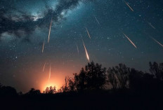 Fenomena Langit 12 Agustus 2026: Gerhana Matahari Total dan Hujan Meteor Perseid Terjadi Beruntun