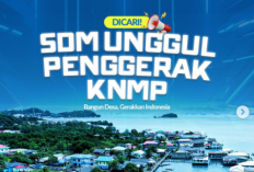 Kementerian Kelautan Buka Lowongan Fasilitator Kampung Nelayan Modern di Seluruh Indonesia