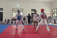 TI Kota Cirebon Gelar Seleksi Ketat Atlet PPLPD 2026, 94 Taekwondoin Bersaing