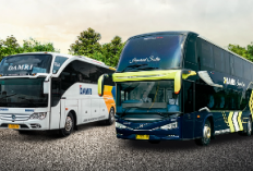 Solusi Mudik Hemat! Naik DAMRI Jakarta- Bali Cuma Rp450 Ribuan,