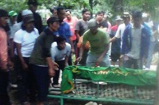 7 Nyawa Melayang di Tol Cipali