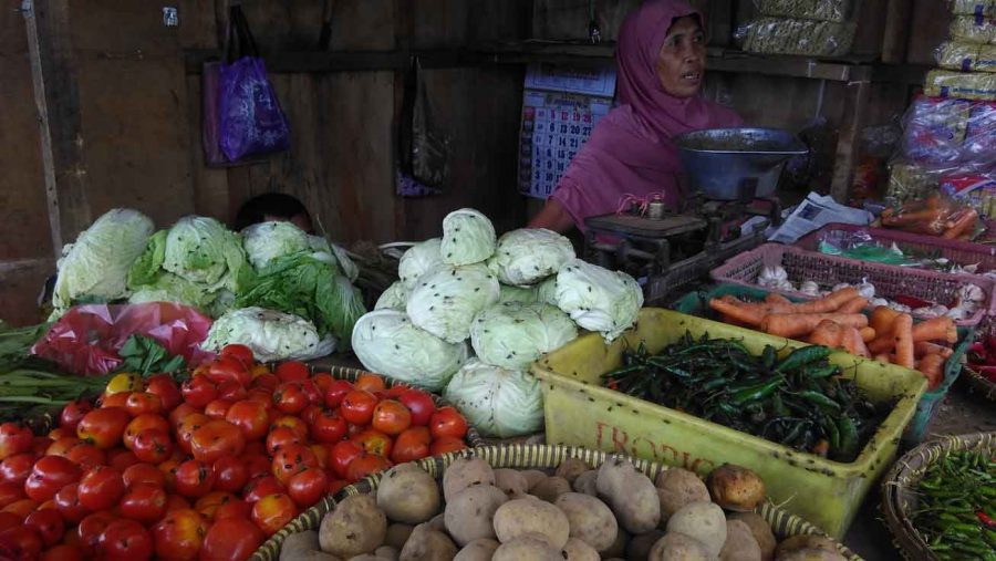 Serangan Lalat Ganggu Kesehatan Pedagang