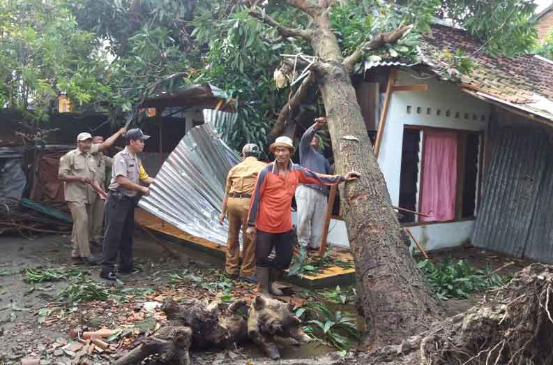 Korban Puting Beliung Berharap Bantuan Pemda