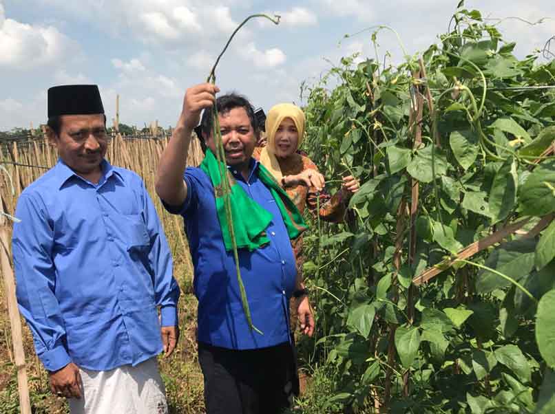 Herman Khaeron Dorong Pesantren Berbasis Agrobisnis